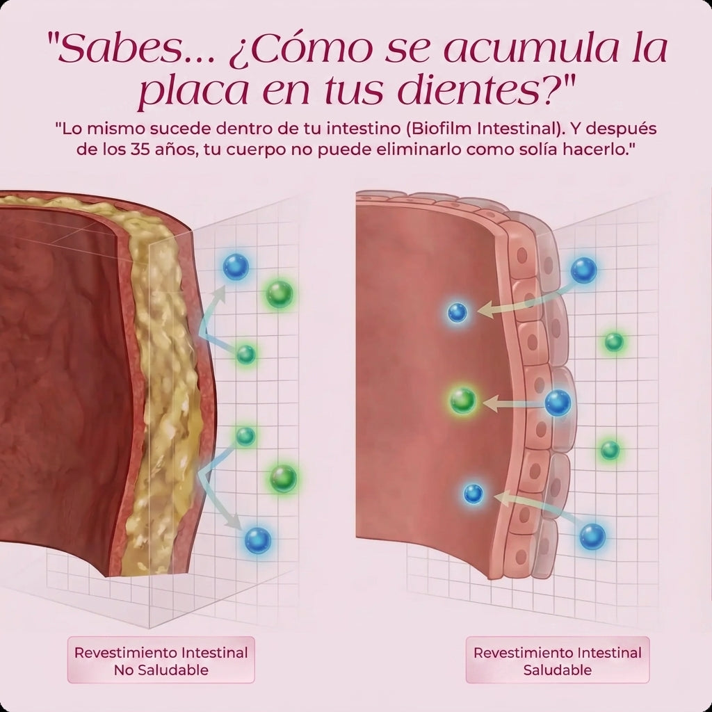 Selawell® | La solución completa para reequilibrar la menopausia en 14 días