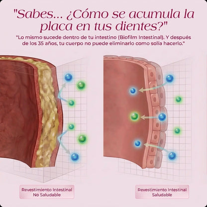 Selawell® | La solución completa para reequilibrar la menopausia en 14 días