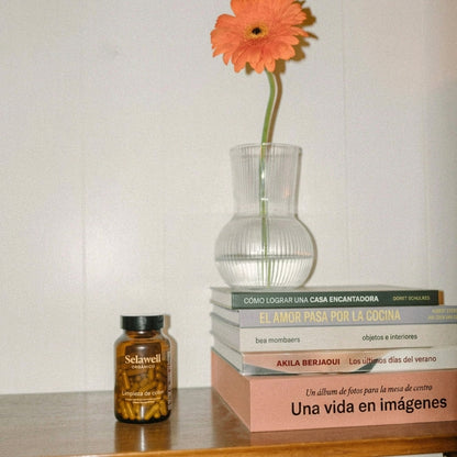Vientre plano – Apoyo para el colon | Elimina parásitos, limpia tu intestino y siéntete más ligero