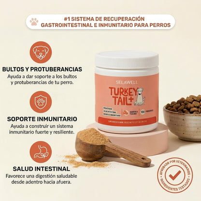 SELAWELL Turkey Tail+ — Apoyo Intestinal e Inmunológico para Perros