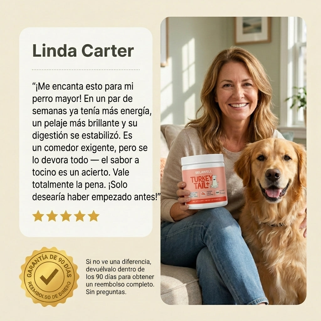 SELAWELL Turkey Tail+ — Apoyo Intestinal e Inmunológico para Perros