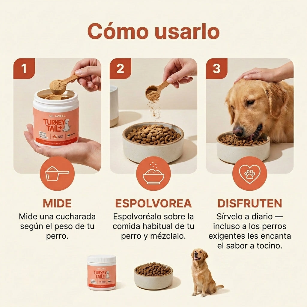 SELAWELL Turkey Tail+ — Apoyo Intestinal e Inmunológico para Perros