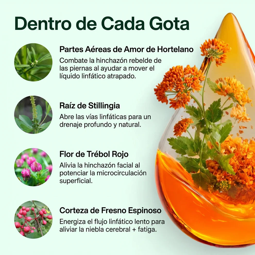 Selawell | Gotas de Bienestar para Drenaje Linfatico