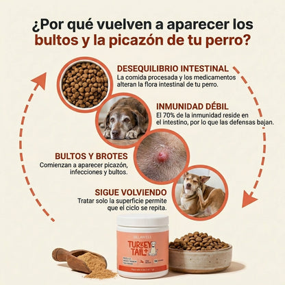 SELAWELL Turkey Tail+ — Apoyo Intestinal e Inmunológico para Perros