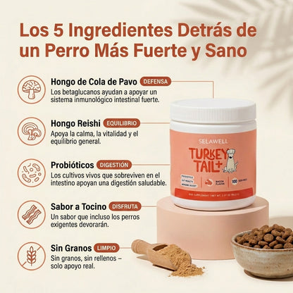 SELAWELL Turkey Tail+ — Apoyo Intestinal e Inmunológico para Perros